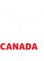 a word of canada in red font and pixelated image of a mushroom