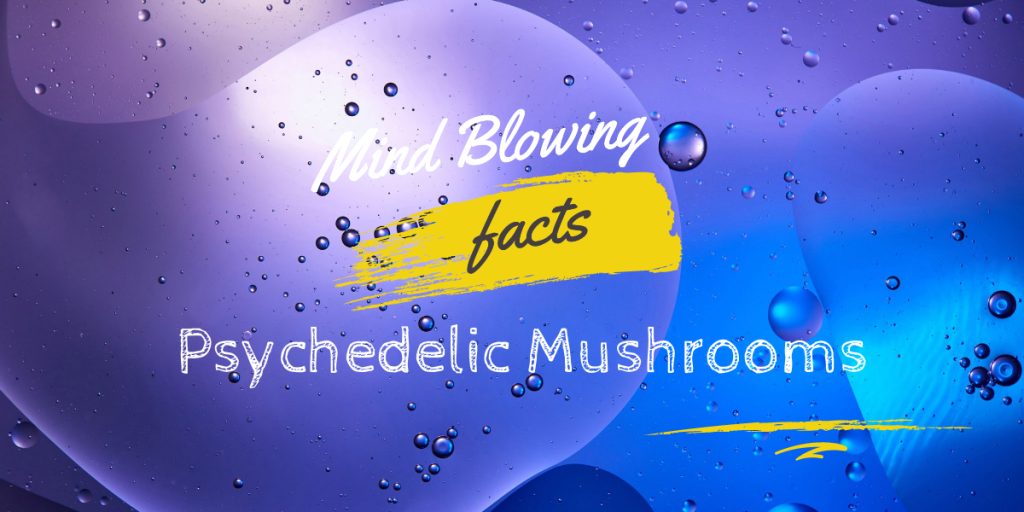 facts about psychedelic mushrooms