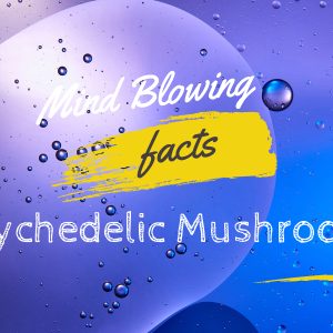 facts about psychedelic mushrooms