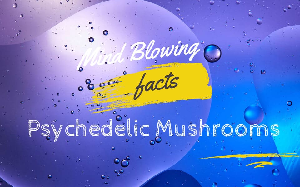 facts about psychedelic mushrooms