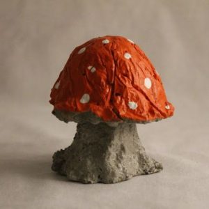 How To Grow Psychedelic Mushrooms The Right Way