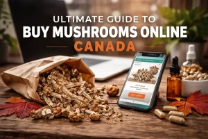 Mushrooms on a table with the text "Guide to buy mushrooms online Canada"