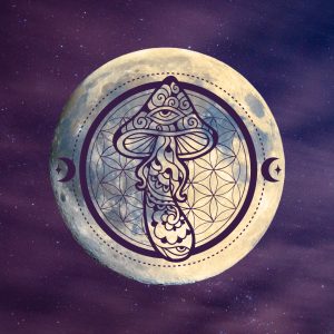 Mushrooms and the Moon: A Case for Ritual