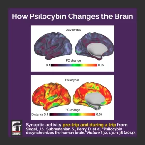 How Psilocybin Changes The Brain