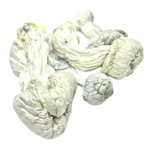 Galactic Gorilla Product Picture