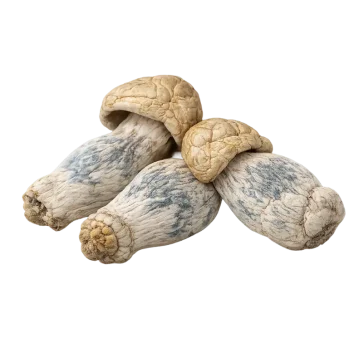 three Bluey Vuitton mushrooms on a white background